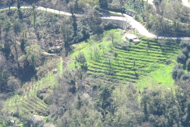 Aerial view of an abandoned agricultural terrace in France