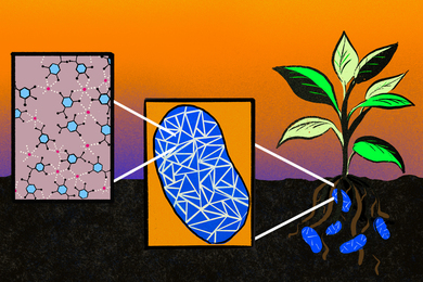 Illustration of a thriving plant and its roots in the ground that are surrounded by microbes. Two insets are shown: At left, a larger version of a blue microbe with white triangular formations. To the left of that, a larger version of one of those formations reveals a lattice made from molecular components.