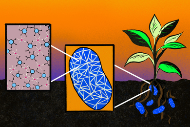 new research in microbiology Illustration of a thriving plant and its roots in the ground that are surrounded by microbes. Two insets are shown: At left, a larger version of a blue microbe with white triangular formations. To the left of that, a larger version of one of those formations reveals a lattice made from molecular components.