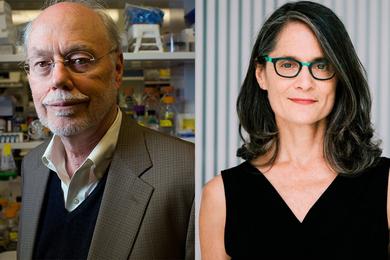 Phillip Sharp portrait, left, and Amy Brand