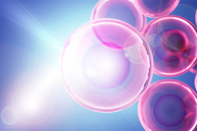 Bright light shining through cells, resembling pink bubbles