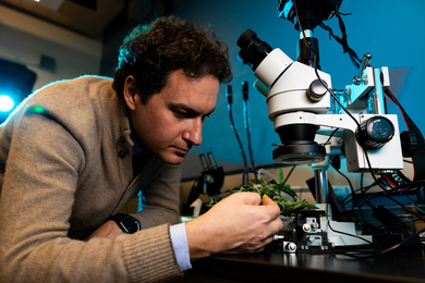 topic for research paper in technology Benedetto Marelli inspects a plant with his hand while next to a microscope.