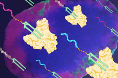 Illustration of U shaped vaccine moledules with tails attach to three-lobed albumin molecules. The background is an image of a oval shaped lymph node. 