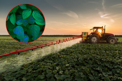 A farm vehicle uses a long arm to spray many crops. Inset shows leaves, and the sprayed chemical shows up as bright blue.