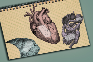 An open notebook shows illustrations of the heart, liver, and intestines with translucent bandages.