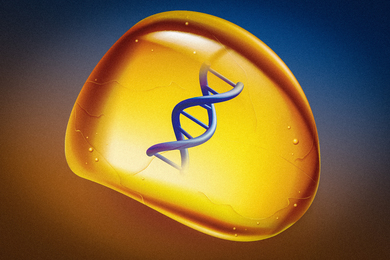 A DNA strand is trapped inside a piece of amber.