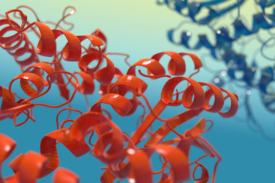 Proteins resembling ribbons