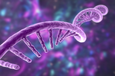 Rendering of curved DNA strands and components