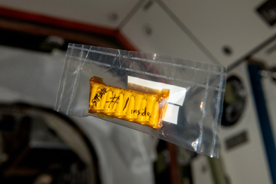 A small plastic pack labeled “Stable #1 inside” with capsules inside floats on the ISS.