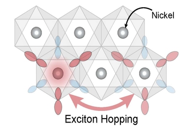 Molecule with six atoms. Nickel is labeled at the center of each, and two are highlighted with red arrows that say "exciton hopping"