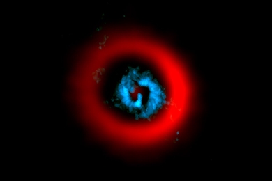 Against the black of space the star AB Aurigae has a spiraling, lobed blue center with a fuzzy red ring surrounding it.