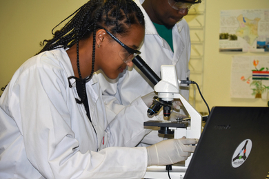 A student scientist looks through a microscope in the lab.