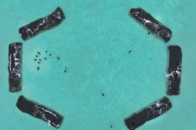 Rectangular underwater structures in the ocean form two semicircles, like parentheses