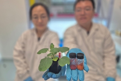 Two out-of-focus scientists in a lab. One holds up a small potted plant; the other, two small glass vials containing powder in different shades of red