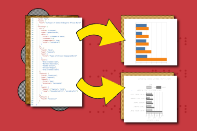 At left: Box of computer code in multicolored text, with arrows pointing to two boxes at right. The one on the top shows an ordinary bar graph. The one on the bottom shows the same graph with raised dots and Braille.