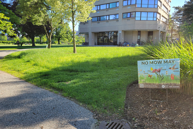 Partially mowed lawn with a colorfully illustrated “No Mow May” sign depicting a flower and pollinators