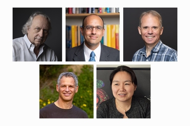 Five portrait photos of MIT faculty