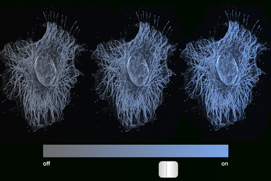 Illustration of a cell being controlled by a dimmer switch