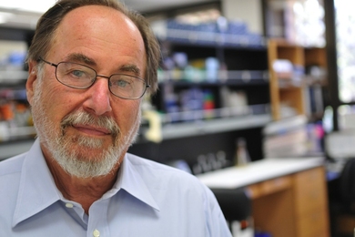 Close up of David Baltimore looking into the camera with lab shelves in the background