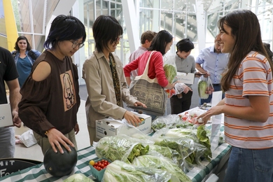 A smiling student standing behind a table bearing bags of leafy greens watches other students file past