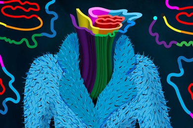 A rainbow-colored Tau, like a cylinder, wears a cartoony fur coat.