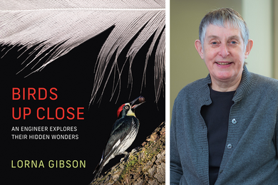 Cover of "Birds Up Close" next to a headshot of author Lorna Gibson