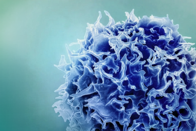 A T-cell resembling fuzzy orb