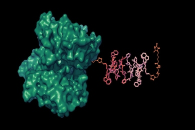 3D rendering of a green blob-like shape with a magenta tail-like structure emerging from the right side. 