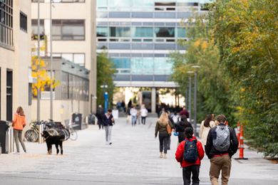 The MIT campus.