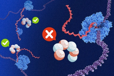 Globular blue and white orbs "examining" single-stranded RNA products and marking them with green checks or red x's