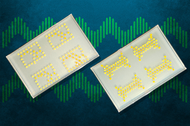 Engineered bacteria acting as a “living circuit board”