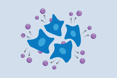 Diagram showing four irregular cells actively secreting small spheres 