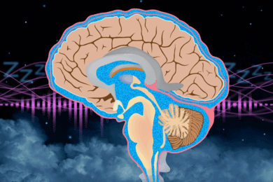 A brain showing the cerebrospinal fluid against a background of sleep icons