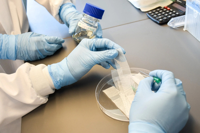A lab worker handling a piece of mesh