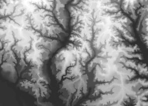 This digital elevation model from the U.S. Geological Survey shows a dendritic river in southern Mississippi.