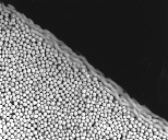 Avalanche is one of the images in a photographic exhibition by Sidney Nagel on view on the fourth floor of Building 4. This avalanche of mustard seeds takes place in a thin layer near the surface, with no movement occurring deeper within the container.