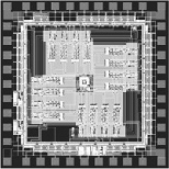 This electronic circuit, made up of 16 excitatory "neurons" and one inhibitory "neuron," mimics the biological circuitry of the cerebral cortex.