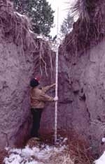 Visiting Professor Salvatore Grimaldi measures erosion in Ft. Carson Gully in Colorado as a member of Professor Rafael Bras's team effort to study the effects of vegetation on landscape erosion.