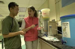 Lecturer Susan Murcott and graduate student Jason Low of civil and environmental engineering survey microbial colonies in a dish from one of the water filtration techniques they are examining for potential use in Nepal.