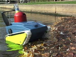 The amphibious Bonk crawls out of the water in a student video shot on Boston Common.