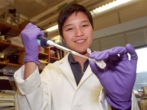 Media Lab postdoc Kimberly Hamad-Schifferli, one of the authors of a paper on biomolecules and radio waves, at work in the lab at the Center for Biomedical Engineering.