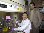 Dr. Dongfang Liu (seated) and Professor Ram Sasisekharan in their lab, where they have developed a new technique to attack acncer by designing drugs that affect the sugar coats on cells.