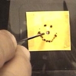 Members of the Fink lab use laser light- produced by a powerful carbon dioxide laser and transported through the new photonic bandgap fiber- to burn a smiley face in one of the materials that is used to make the fiber.