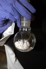 Material created in Paula Hammonds' laboratory may be spun into a substance with properties similar to spider silk.Material created in Paula Hammonds' laboratory may be spun into a substance with properties similar to spider silk.