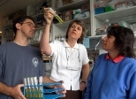Professor Penny Chisholm (center) and post-docs Erik Zinser and Debbie Lindell survey a plankton sample.