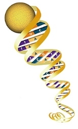 DNA strand