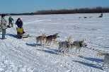 Sophomore Ross Fu (far left) looks on as a sled dog musher shows her skills.