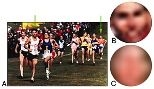 Objects can be defined both by intrinsic and contextual cues. In image (a), some of the runner's faces have enough intrinsic information to permit their classification as faces based on local image structure (b), while others almost entirely lack such intrinsic cues (c) and rely on contextual information. Many real-world viewing situations (such as observing objects at a distance, through haze or ...