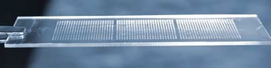 More than 1,700 spots of biomaterial (500 different materials in triplicate) cover the surface of this glass slide; each can then be "seeded" with living cells. The MIT technology offers a quick, easy way to test how a given material affects cell behavior.