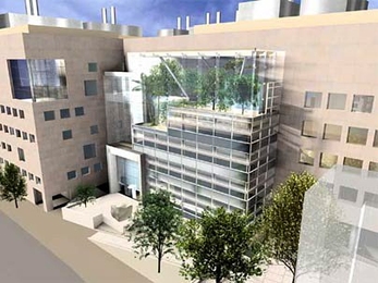 Brain and cognitive sciences building rendering, Vassar Street plaza facade.